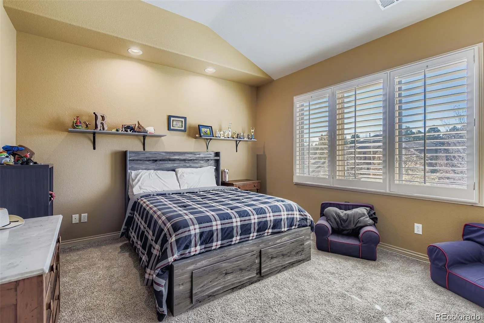 9410 S Silent Hills Drive Lone Tree CO 80124 | MLS #REC5893913 08072026215702 1600 29