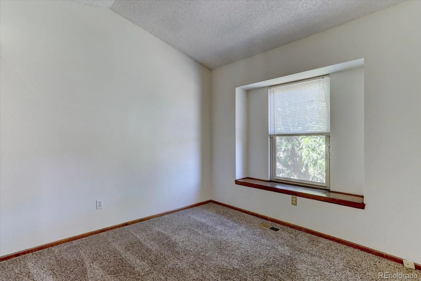 16775 Blue Mist Circle Parker CO 80134 | MLS #REC5894577 08202026215330 1600 15