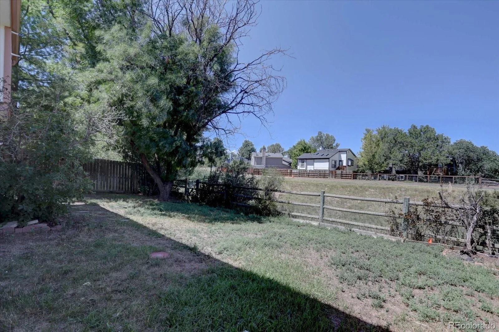 16775 Blue Mist Circle Parker CO 80134 | MLS #REC5894577 08202026215330 1600 20
