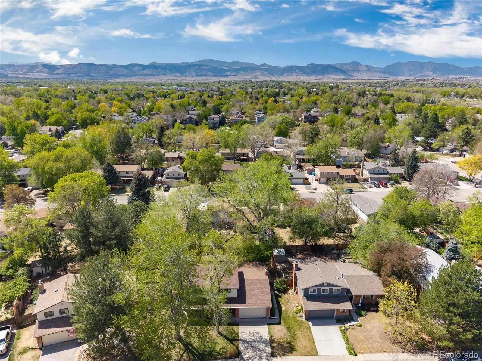 7047 Cole Court Arvada CO 80004 MLS #REC5898154 04232026234959 1600 3