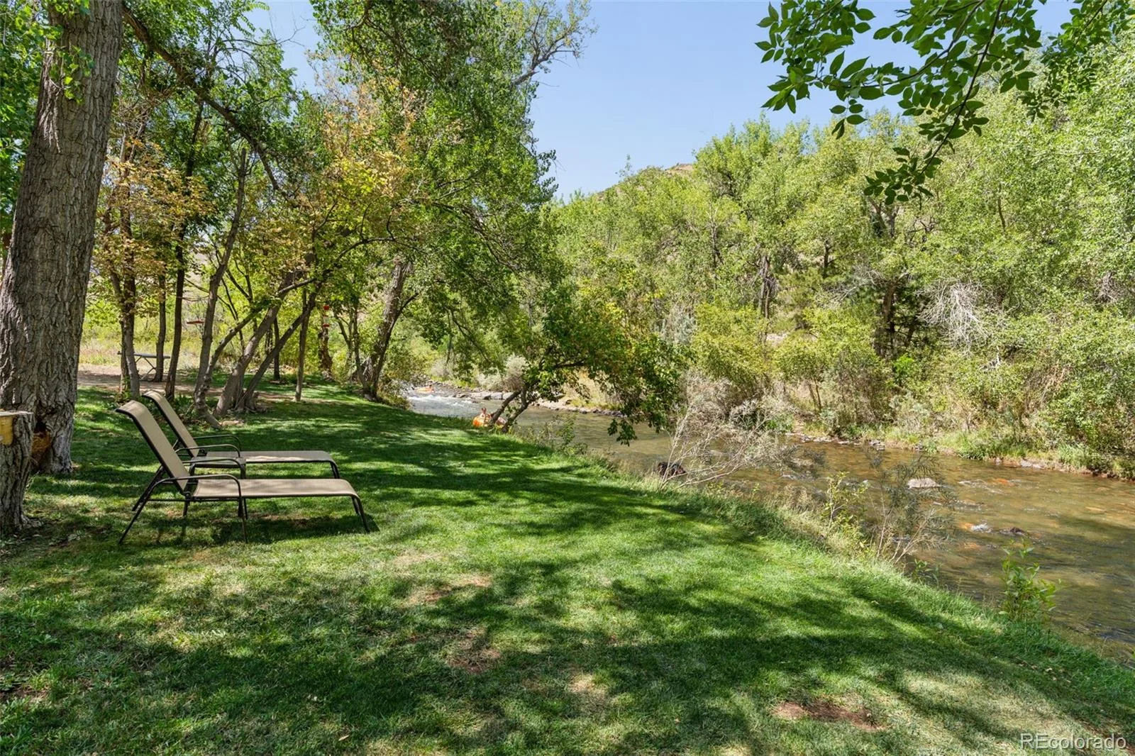 80 Clear Creek Lane #1 Golden CO 80403 | MLS #REC5898355 08282026014533 1600 10