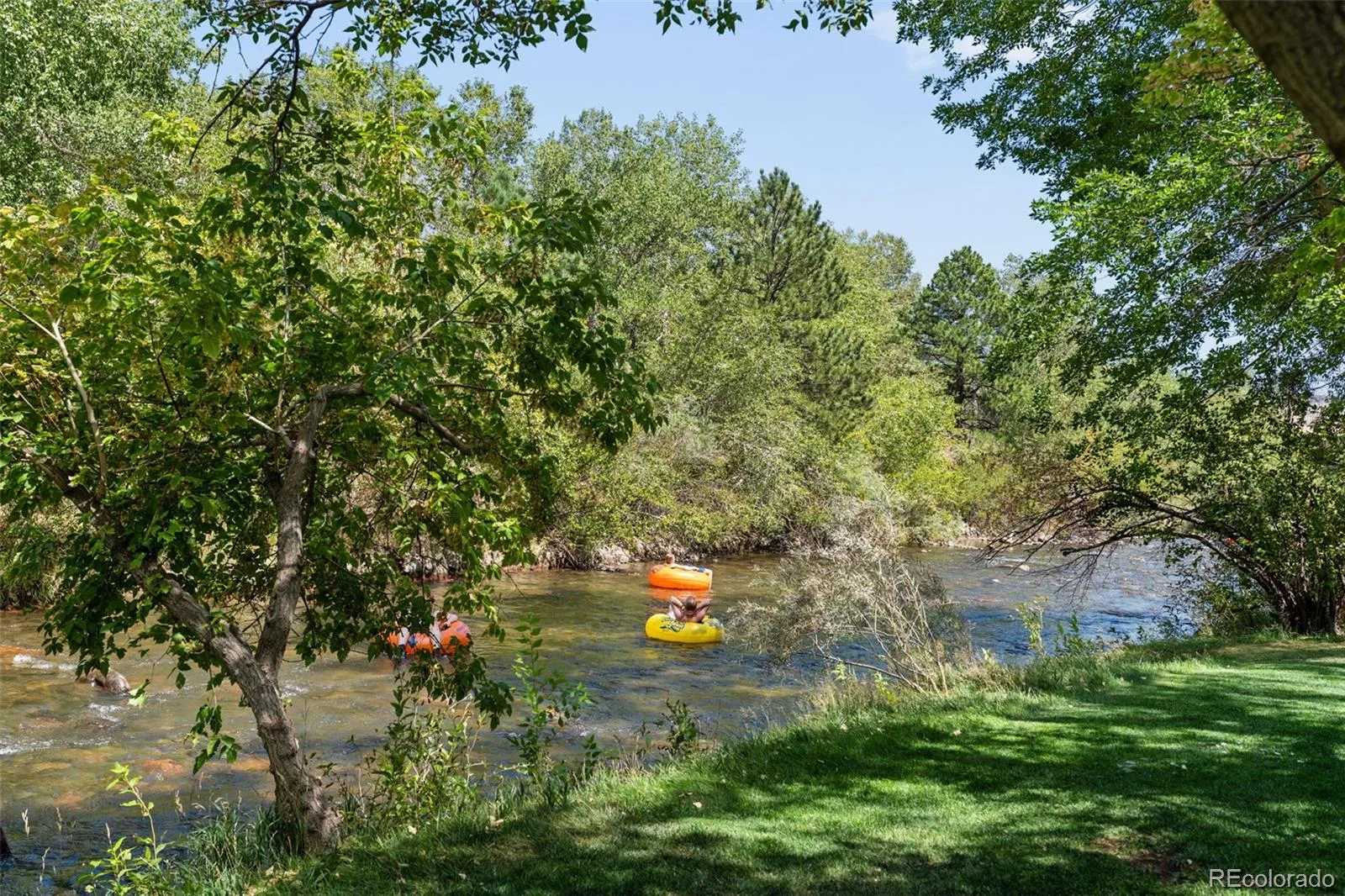 80 Clear Creek Lane #1 Golden CO 80403 | MLS #REC5898355 08282026014533 1600 11