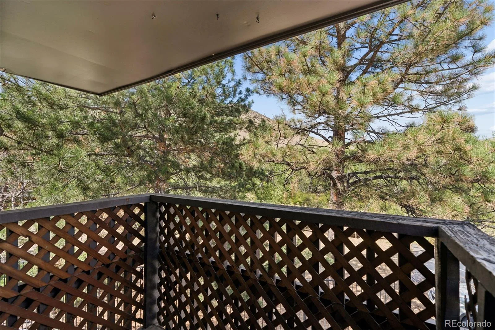 80 Clear Creek Lane #1 Golden CO 80403 | MLS #REC5898355 08282026014533 1600 31