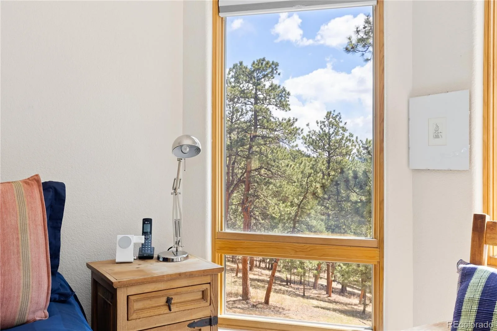 302 Cottonwood Drive Evergreen CO 80439 | MLS #REC5904744 08292026205456 1600 12