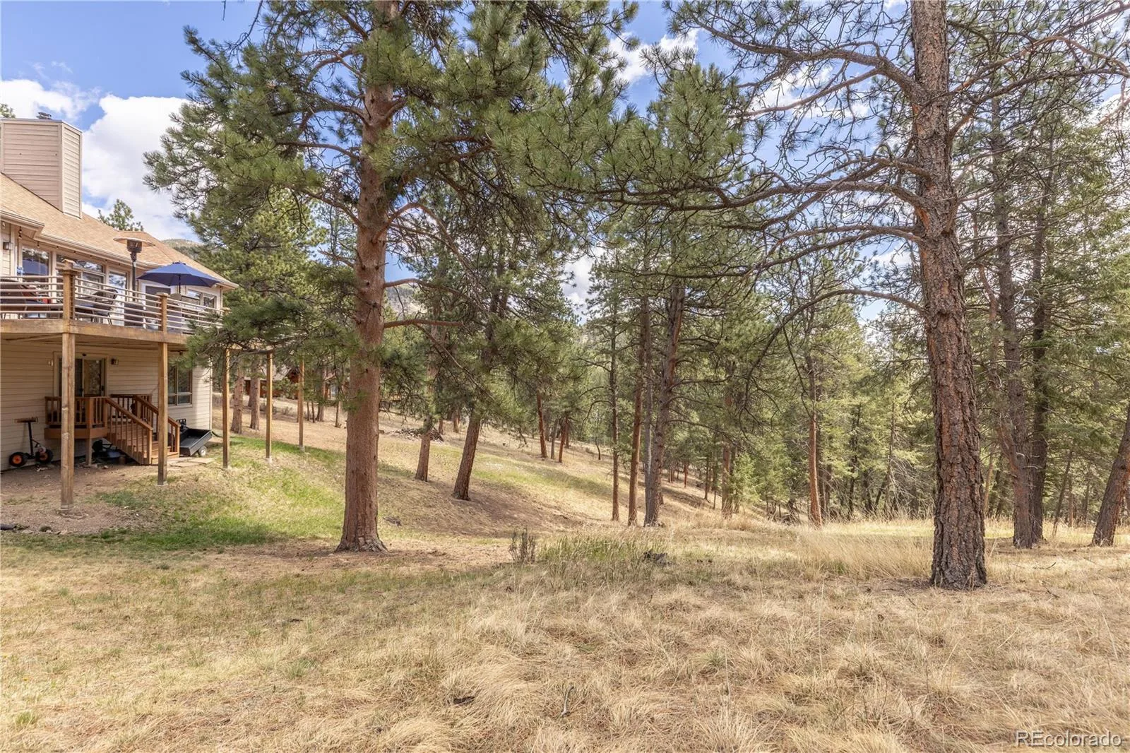 302 Cottonwood Drive Evergreen CO 80439 | MLS #REC5904744 08292026205456 1600 35