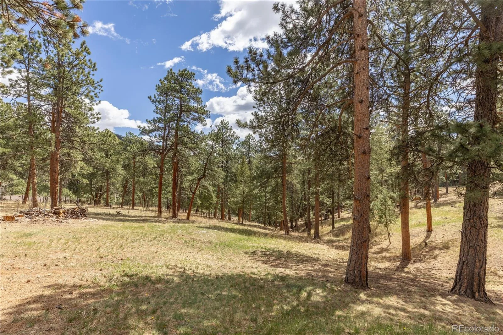 302 Cottonwood Drive Evergreen CO 80439 | MLS #REC5904744 08292026205456 1600 36