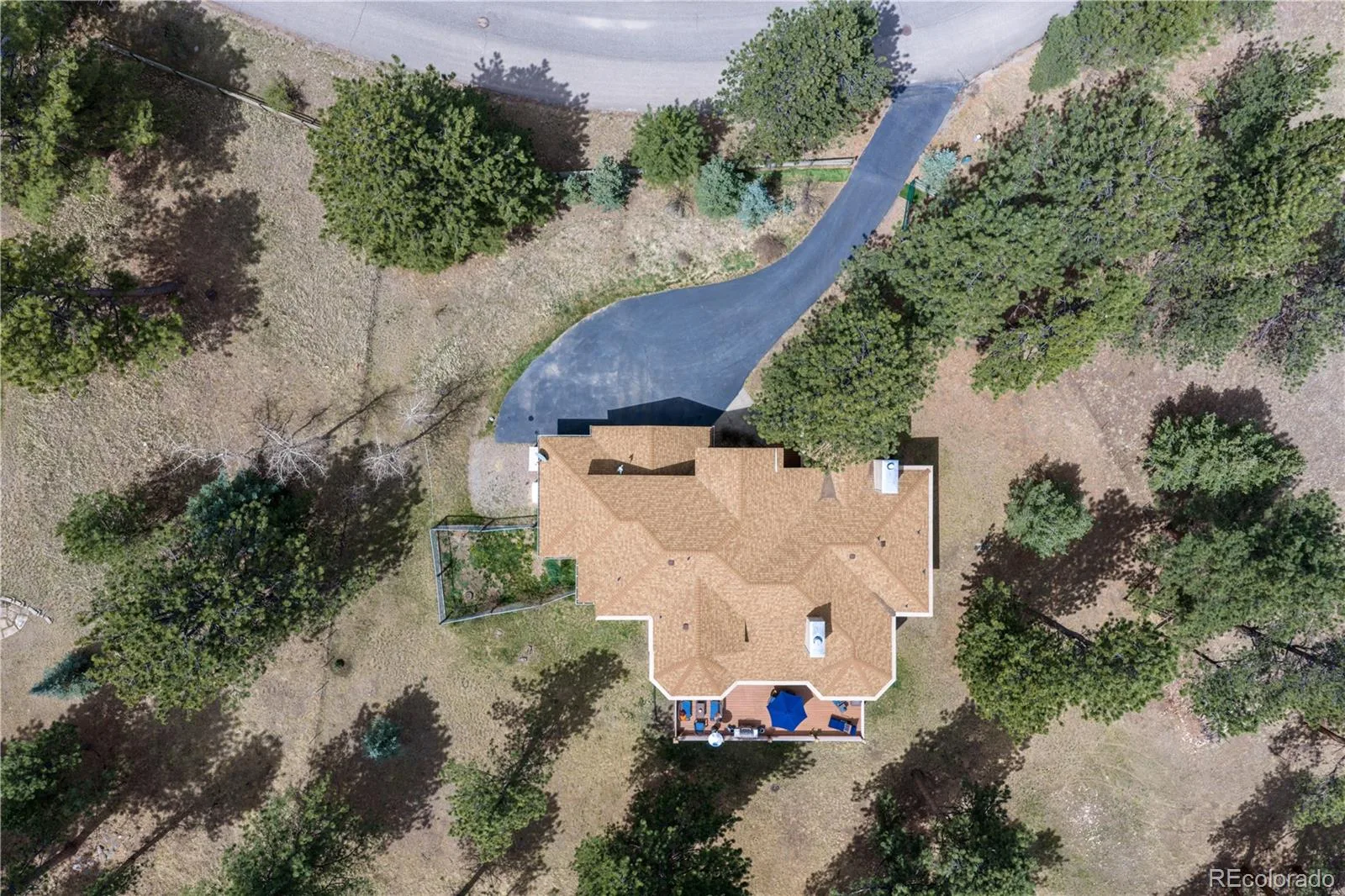 302 Cottonwood Drive Evergreen CO 80439 | MLS #REC5904744 08292026205456 1600 37