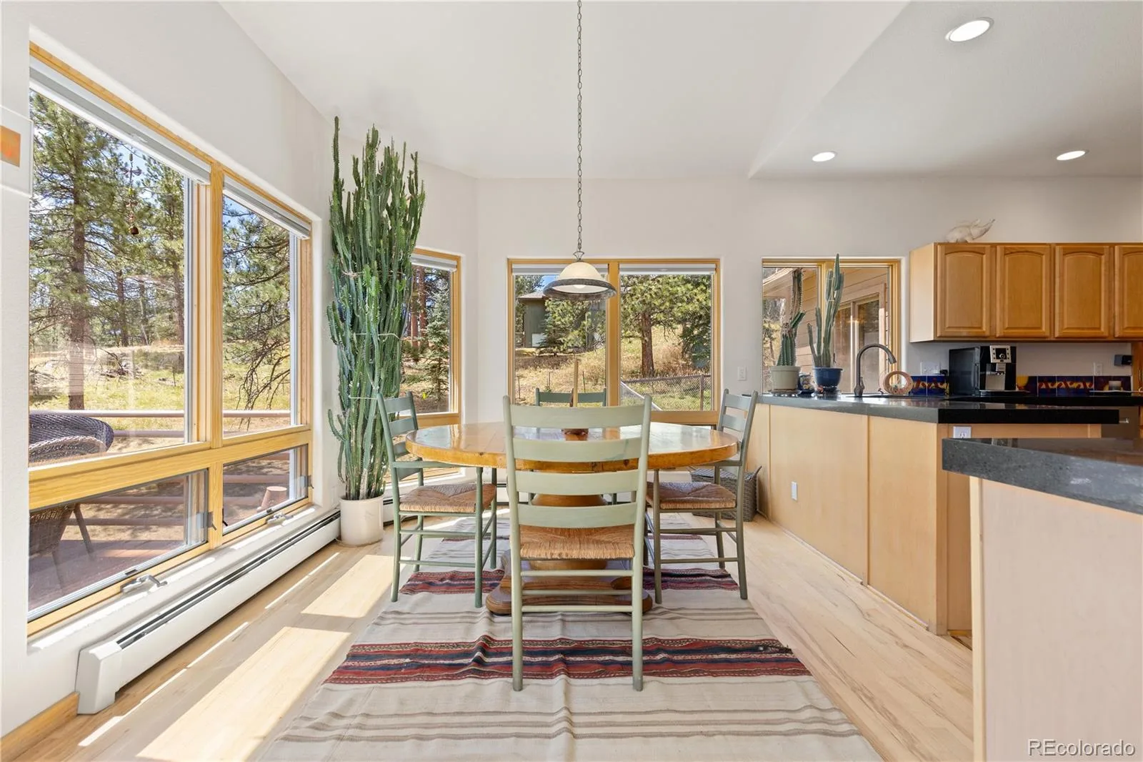 302 Cottonwood Drive Evergreen CO 80439 | MLS #REC5904744 08292026205456 1600 7