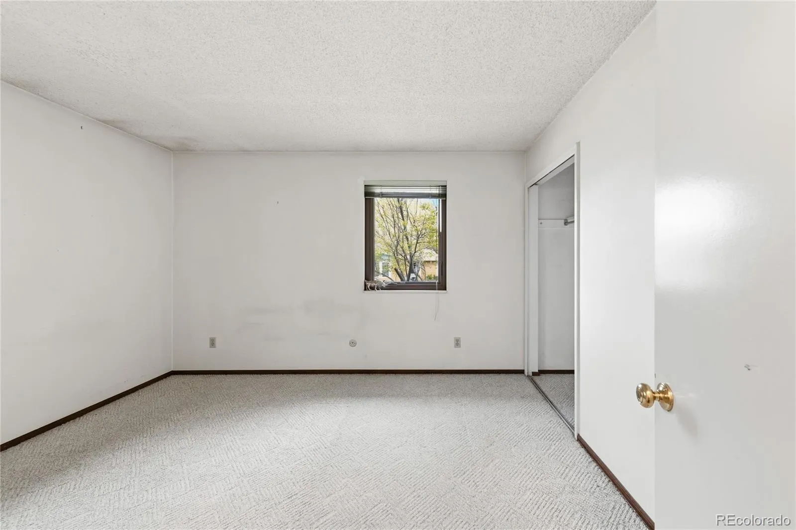 04172026010607 1600 15