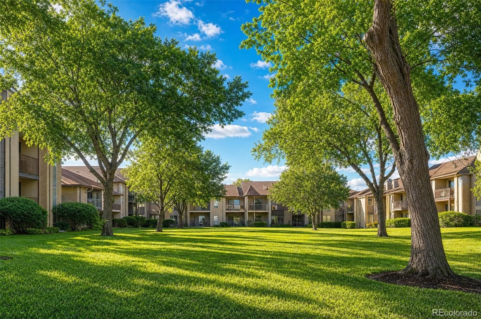 14852 E Kentucky Drive #923 #9 Aurora CO 80012 MLS #REC5915258 05312026064824 1600 13