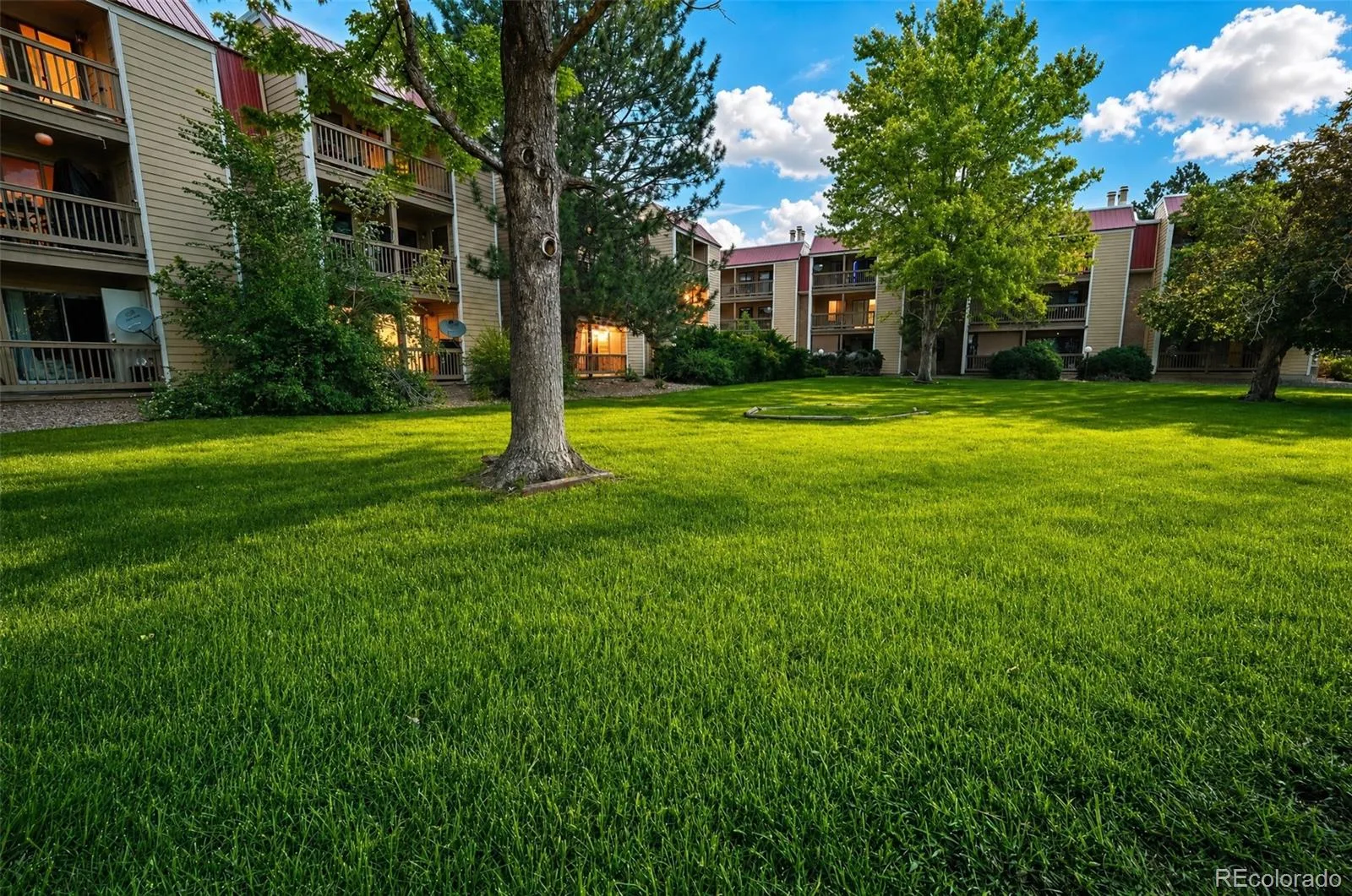 14852 E Kentucky Drive #923 #9 Aurora CO 80012 MLS #REC5915258 05312026064824 1600 14