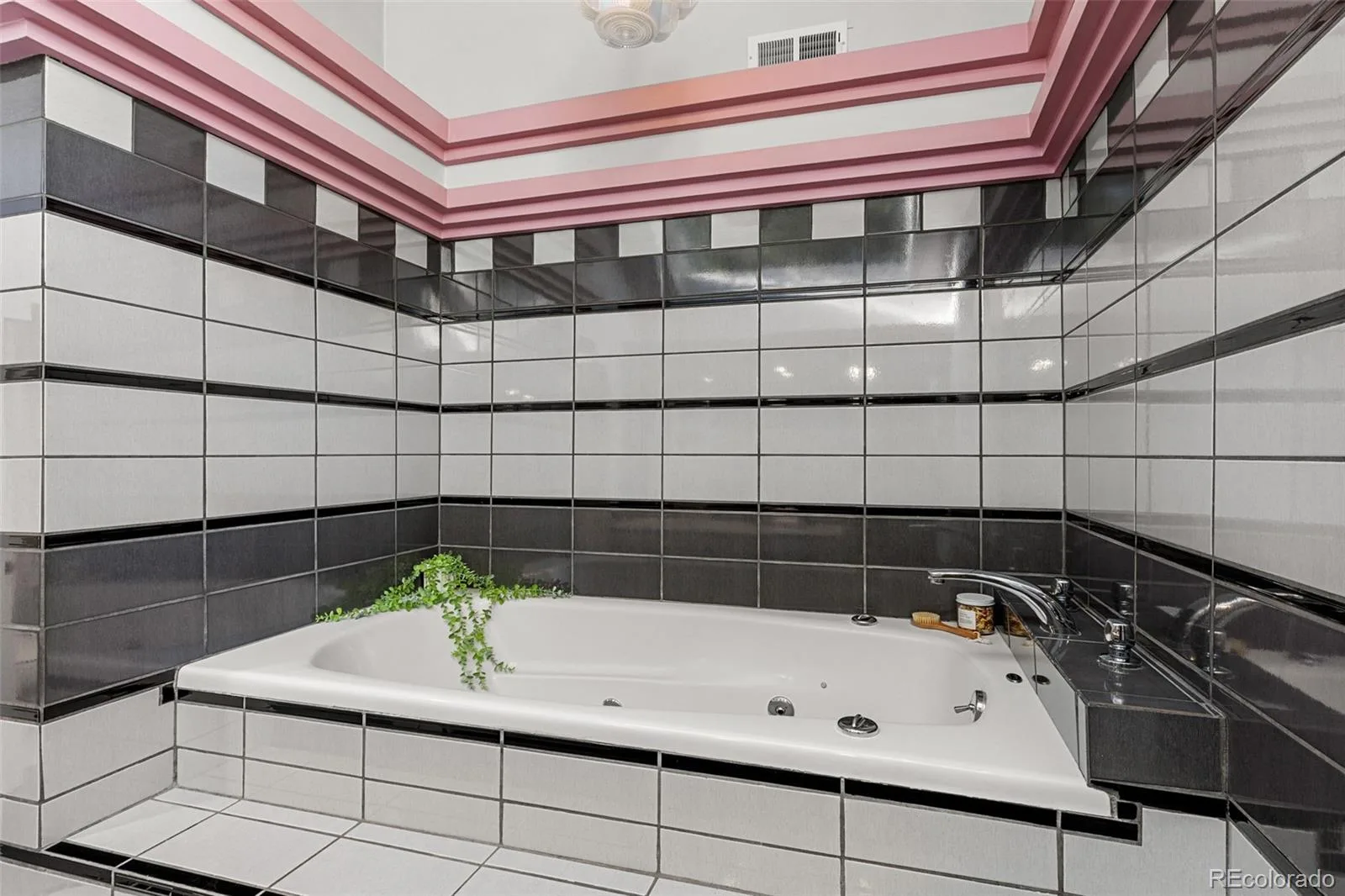 725 N Downing Street Denver CO 80218 | MLS #REC5918932 09242026065457 1600 35