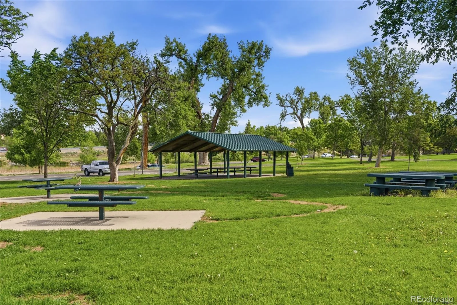 4585 Vrain Street Denver CO 80212 MLS #REC5922988 06092026015807 1600 9
