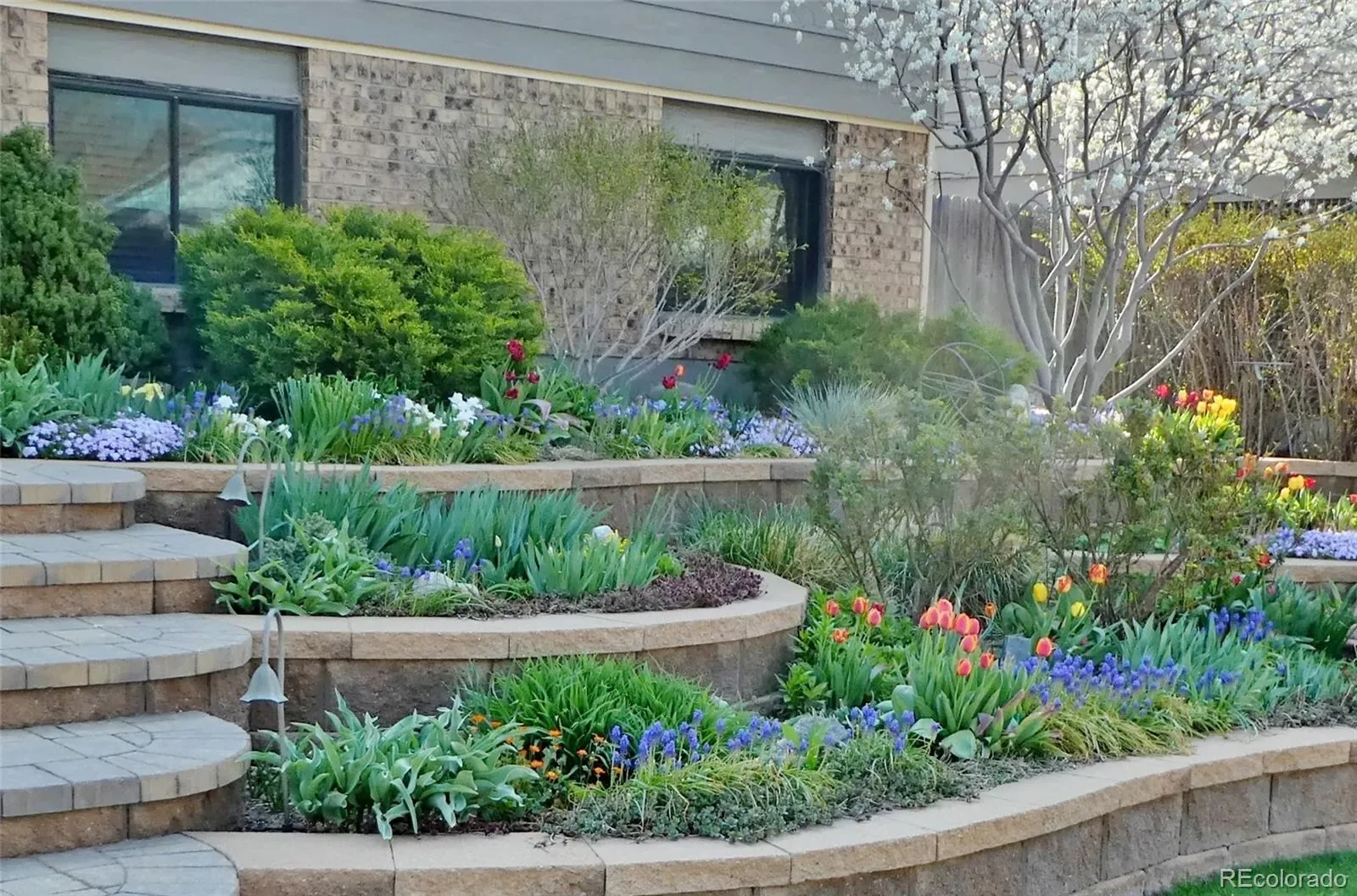 03272026032801 1600 30