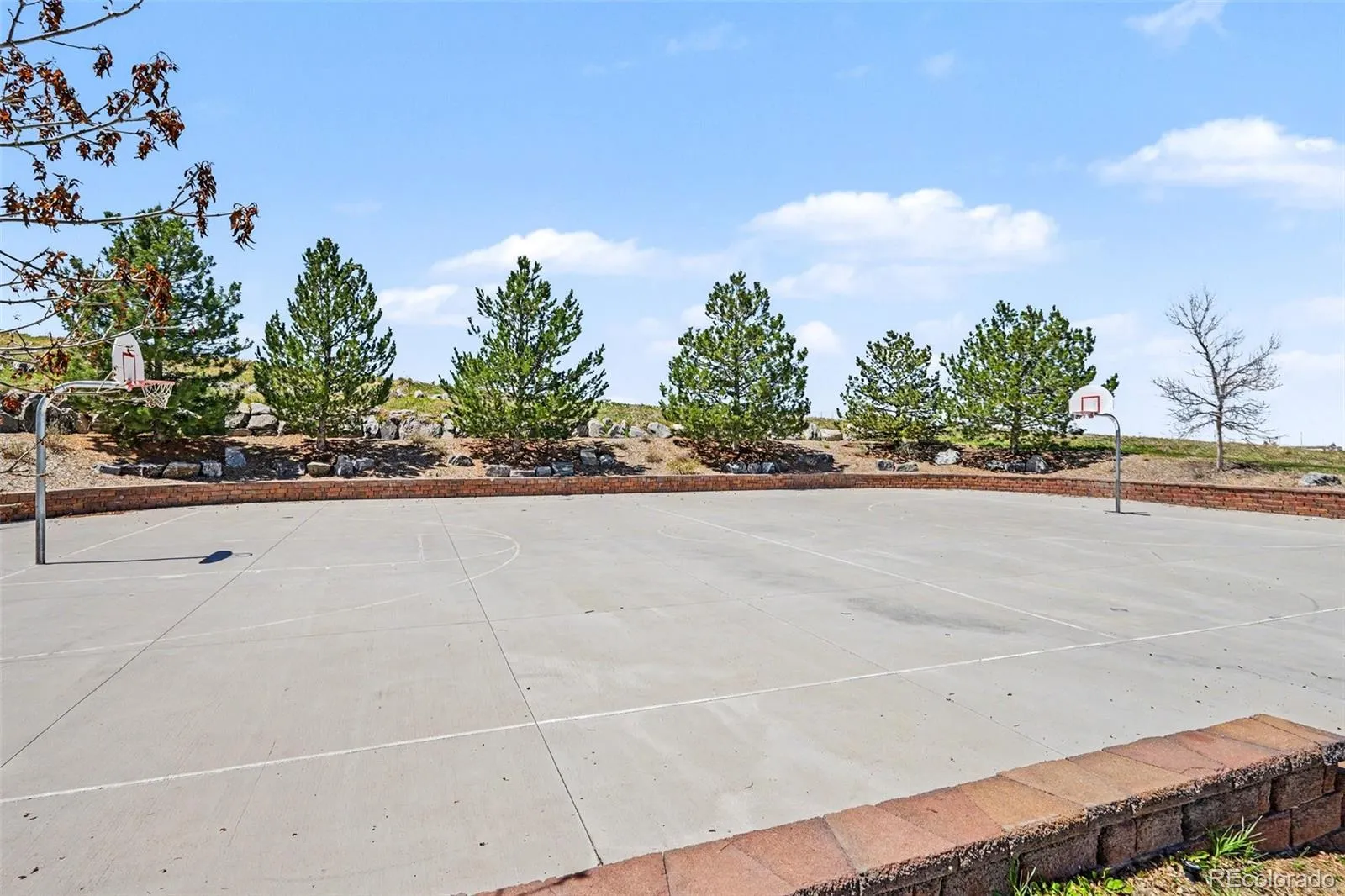 10600 Stonington Street Highlands Ranch CO 80126 MLS #REC5929868 05142026230204 1600 43
