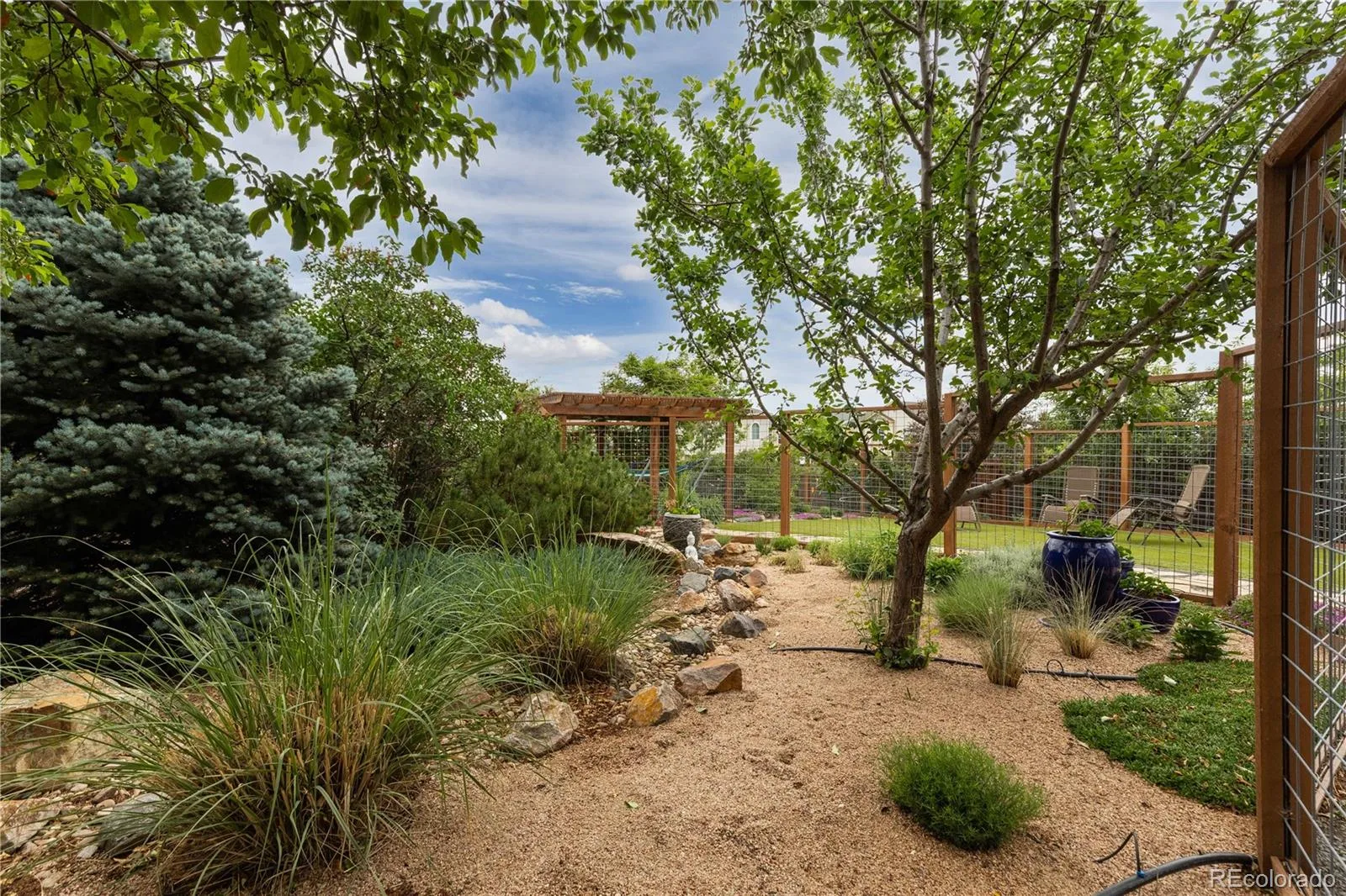 5290 Raritan Way Denver CO 80221 MLS #REC5931783 06152026193406 1600 2