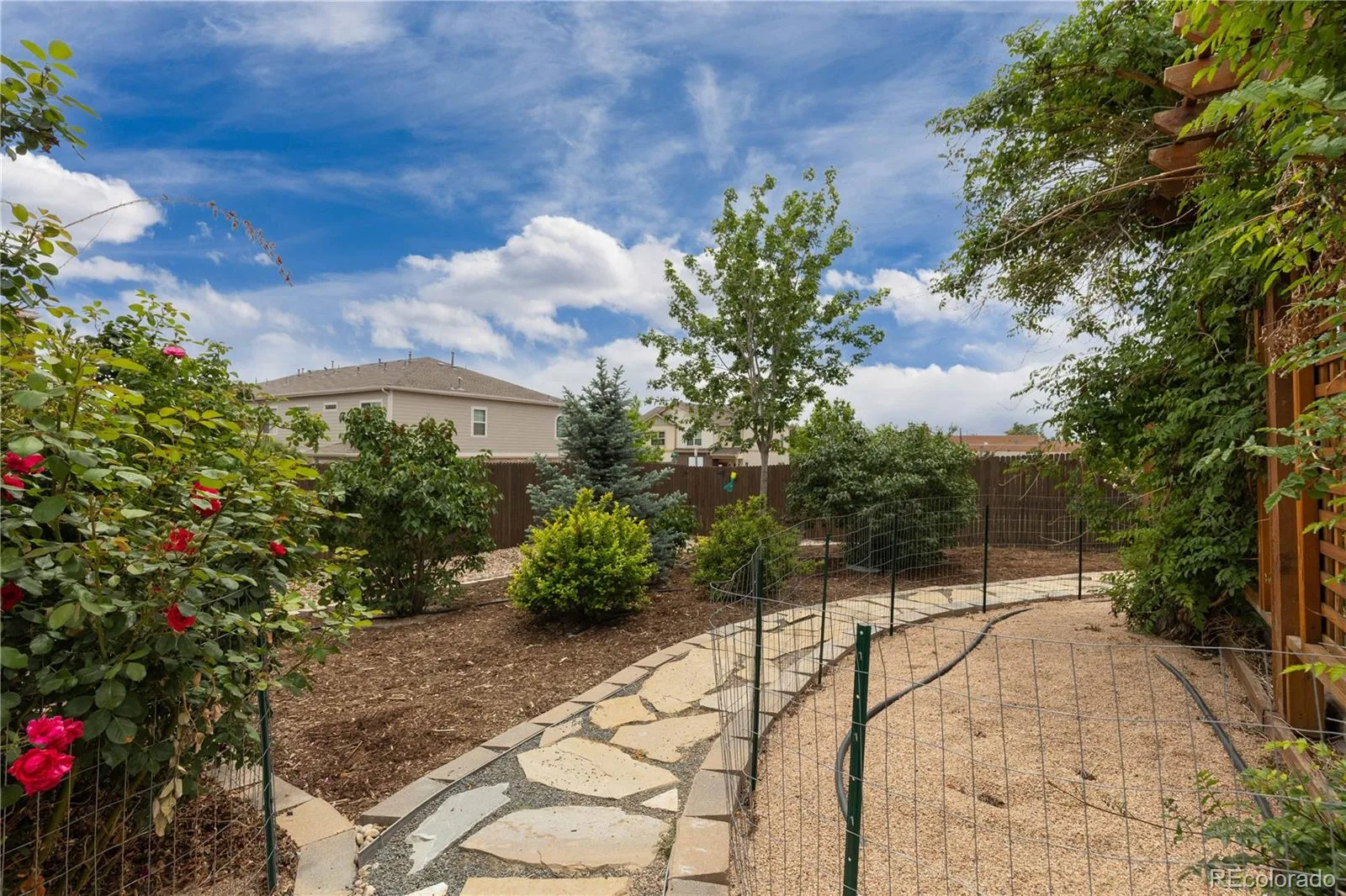 5290 Raritan Way Denver CO 80221 MLS #REC5931783 06152026193406 1600 34