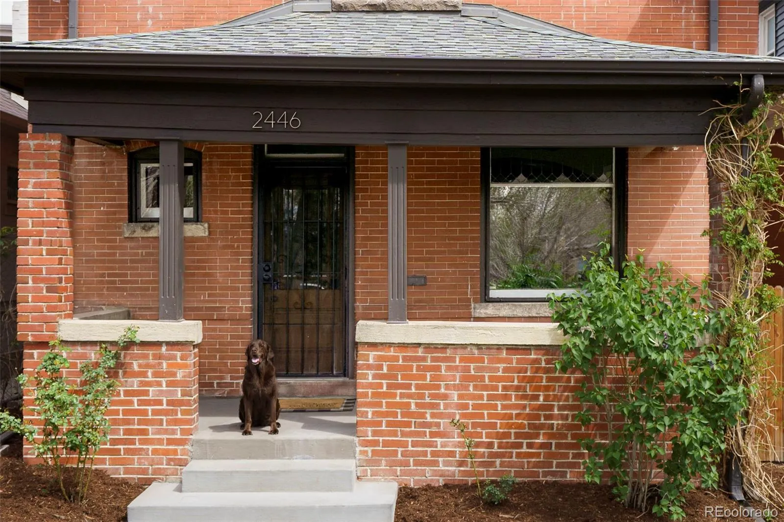 2446 Irving Street Denver CO 80211 MLS #REC5936030 04212026044712 1600 1