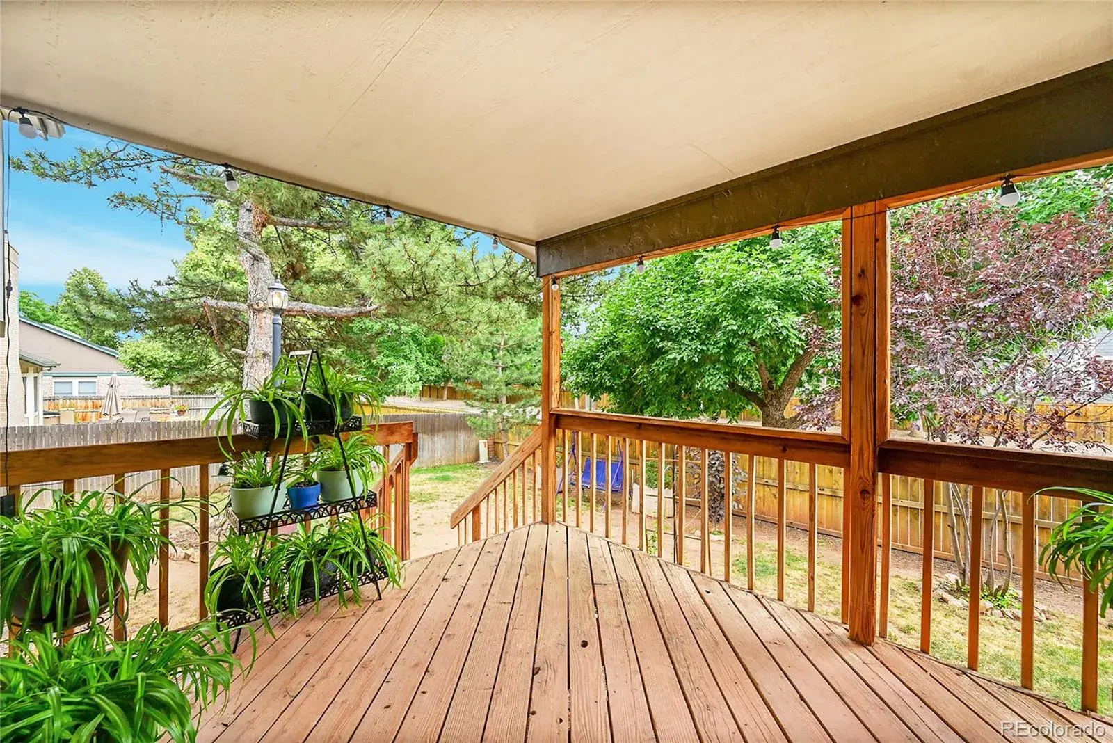 03062026183444 1600 29