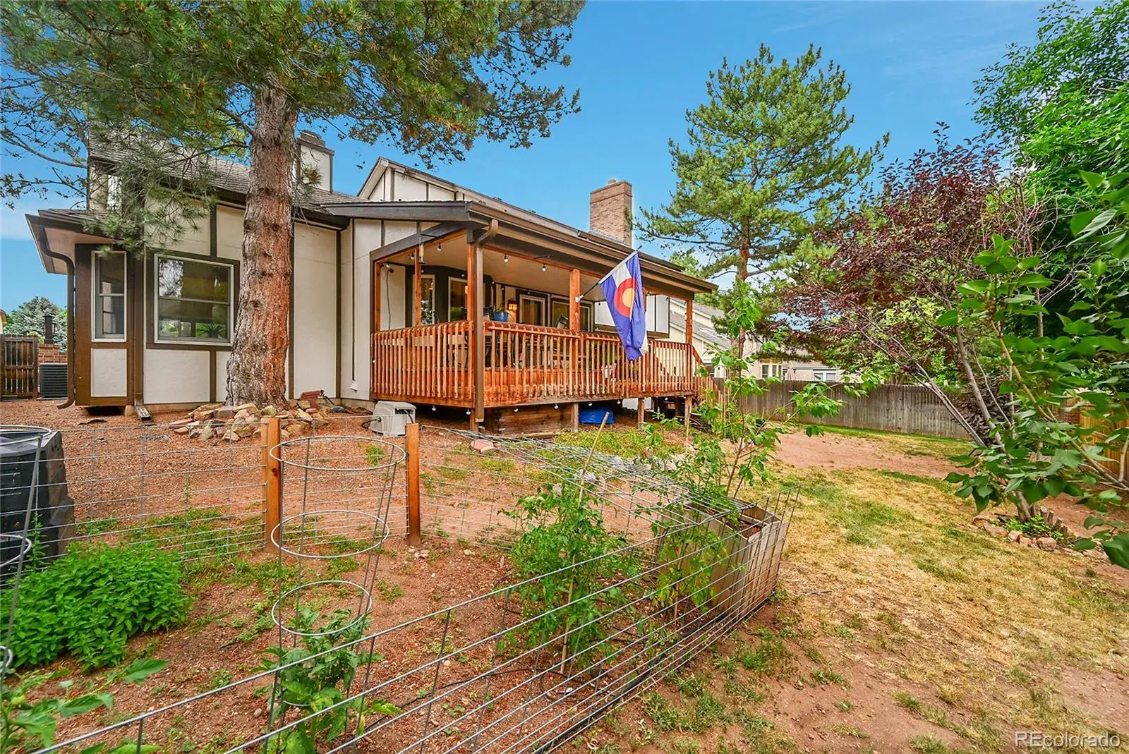 03062026183444 1600 31