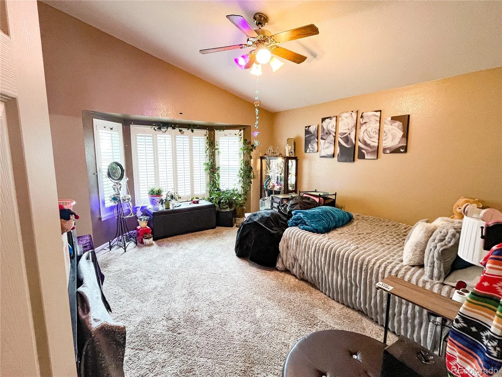 11867 Meadowood Lane Parker CO 80138 | MLS #REC5951344 07092026004721 1600 20