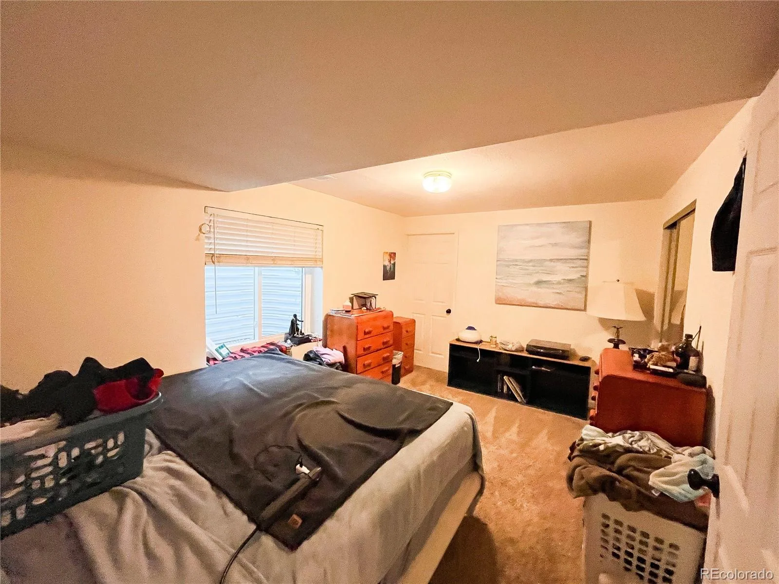 11867 Meadowood Lane Parker CO 80138 | MLS #REC5951344 07092026004721 1600 29