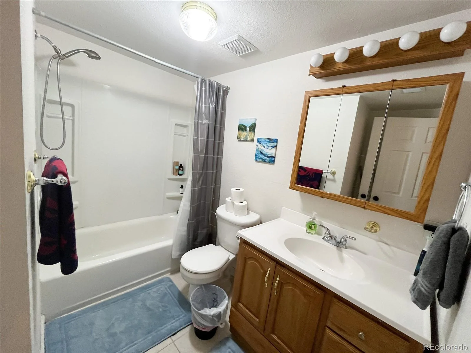 11867 Meadowood Lane Parker CO 80138 | MLS #REC5951344 07092026004721 1600 31