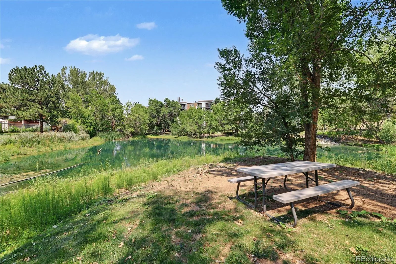 1300 Golden Circle #302 Golden CO 80401 | MLS #REC5953683 08082026202659 1600 21