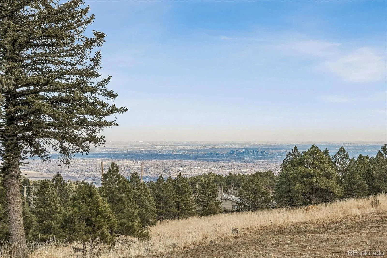 21967 Mountsfield Drive Golden CO 80401 | MLS #REC5956223 08252026170507 1600 20