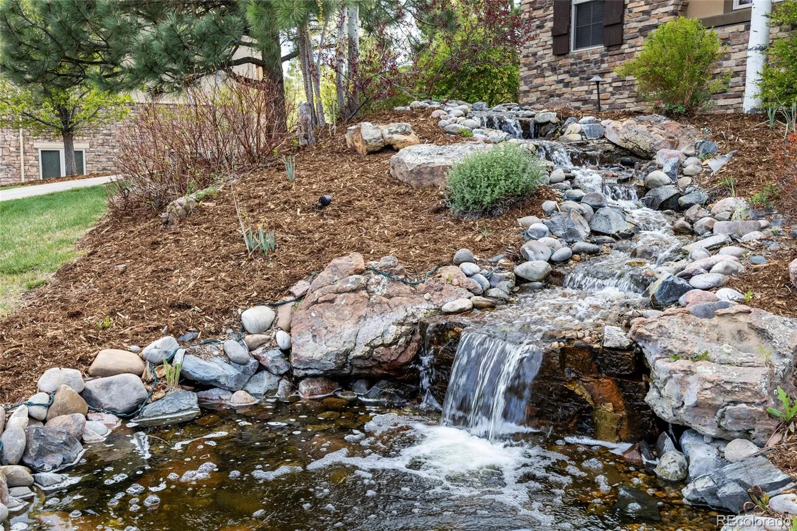 4598 Carefree Trail Parker CO 80134 MLS #REC5959433 05142026212025 1600 47