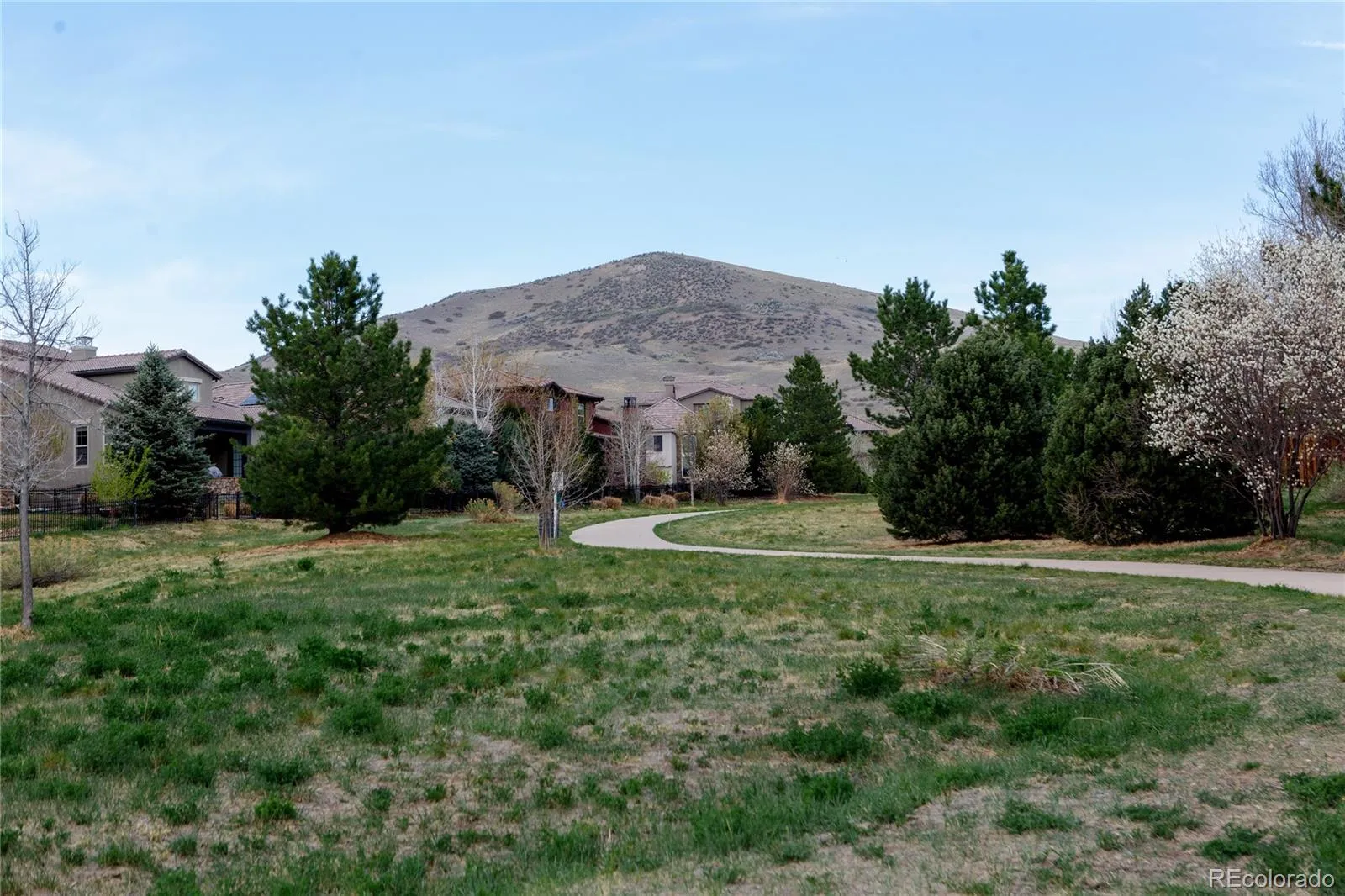 04072026235505 1600 49