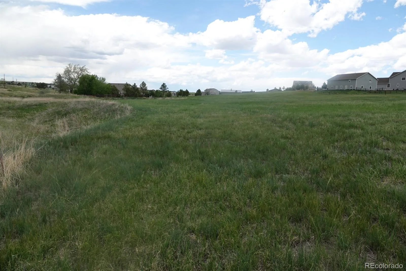 3131 Antelope Ridge Trail Parker CO 80138 | MLS #REC5961516 07072026184001 1600 1
