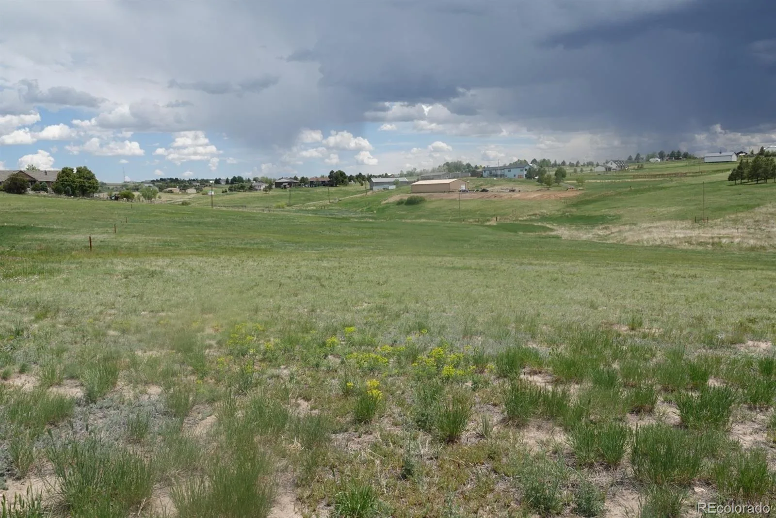 3131 Antelope Ridge Trail Parker CO 80138 | MLS #REC5961516 07072026184001 1600 2
