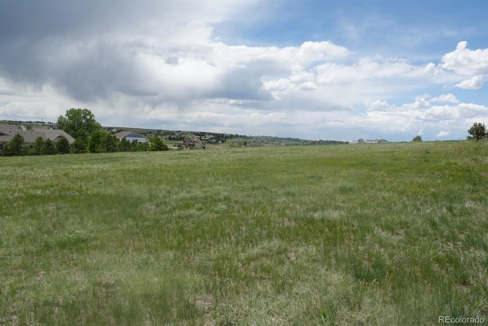 3131 Antelope Ridge Trail Parker CO 80138 | MLS #REC5961516 07072026184001 1600 3
