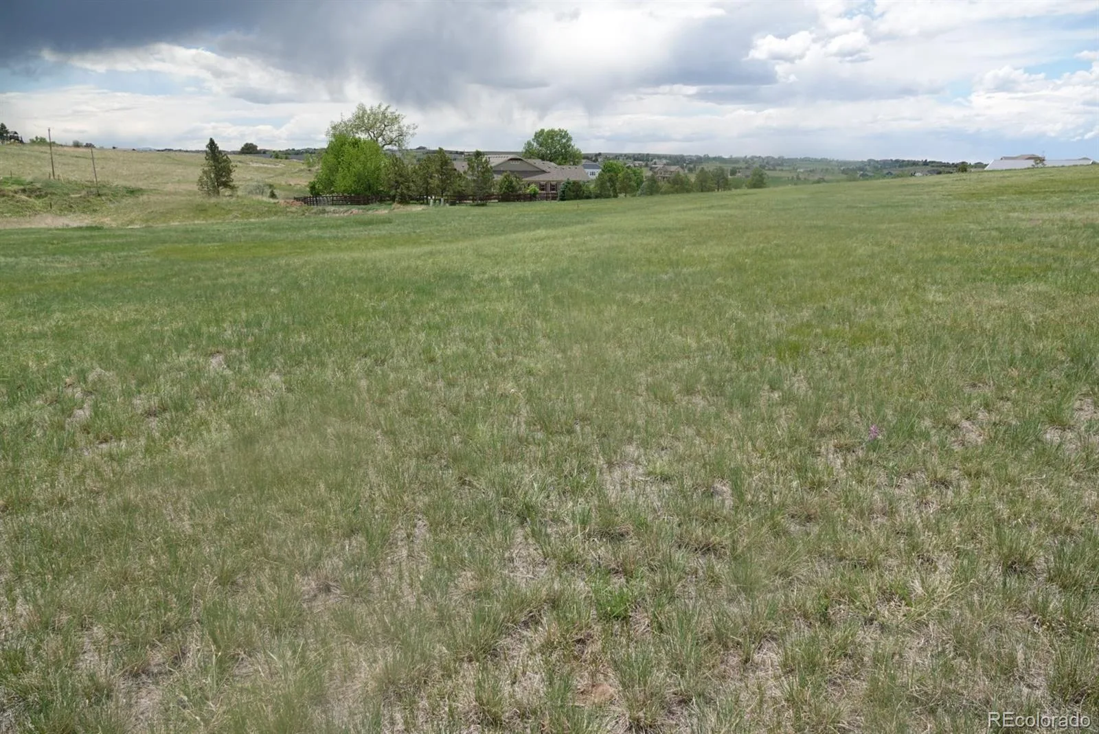 3131 Antelope Ridge Trail Parker CO 80138 | MLS #REC5961516 07072026184001 1600 4