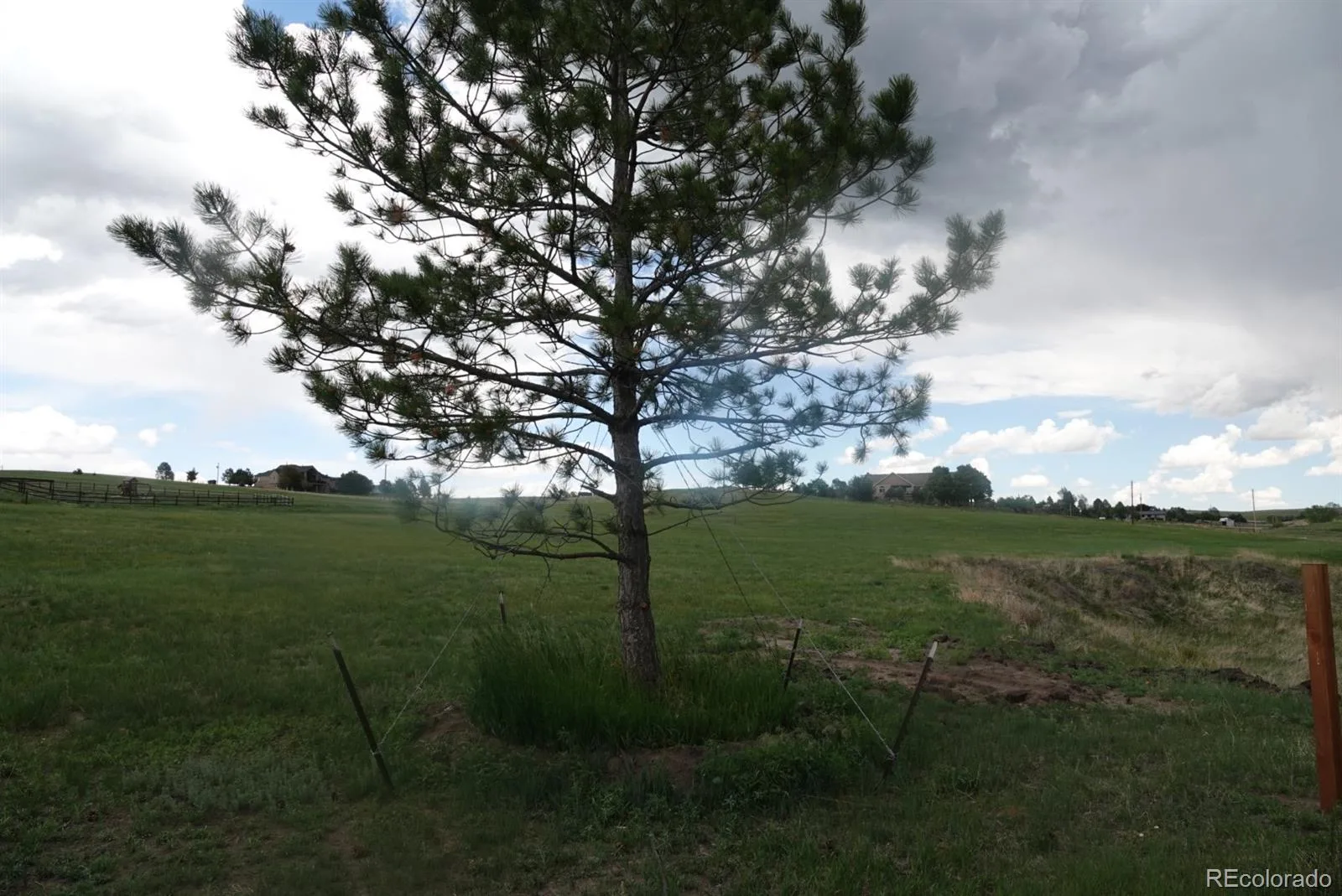 3131 Antelope Ridge Trail Parker CO 80138 | MLS #REC5961516 07072026184001 1600 5