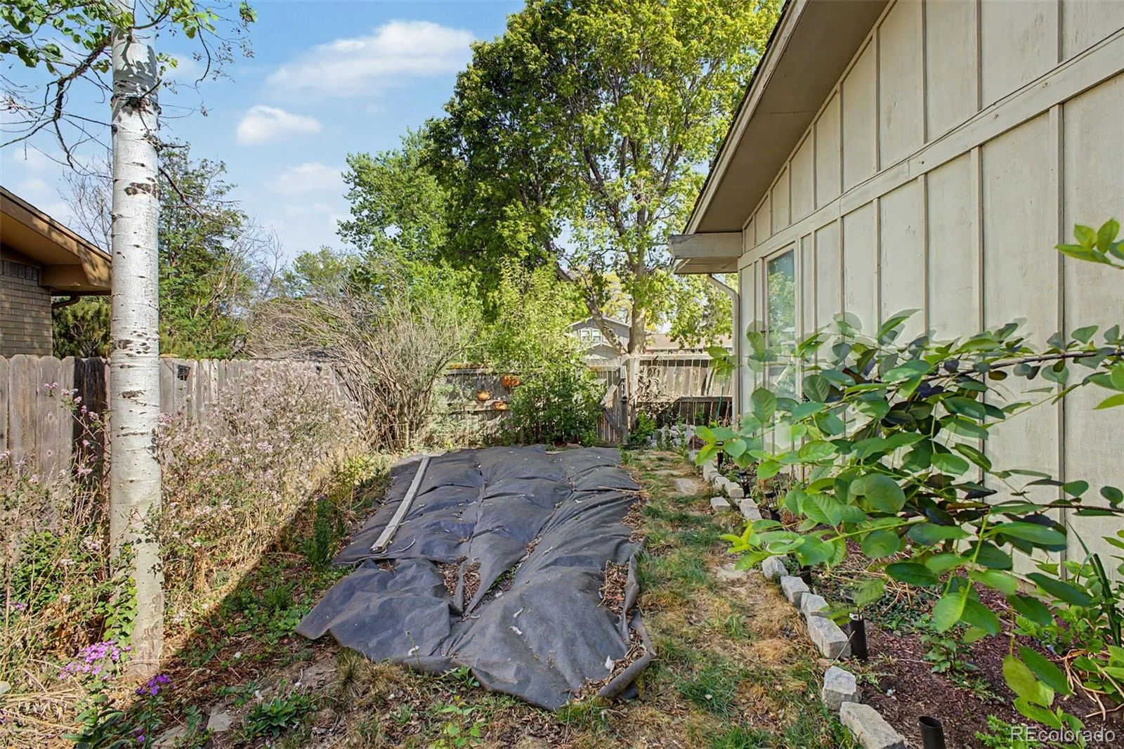 1600 Northwestern Road Longmont CO 80503 MLS #REC5965403 04292026205638 1600 39