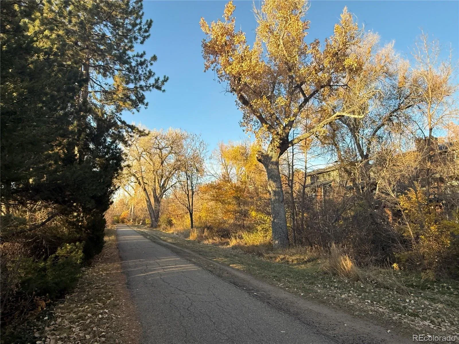 2575 S SYRACUSE Way #F101 Denver CO 80231 MLS #REC5966433 03202026150444 1600 17