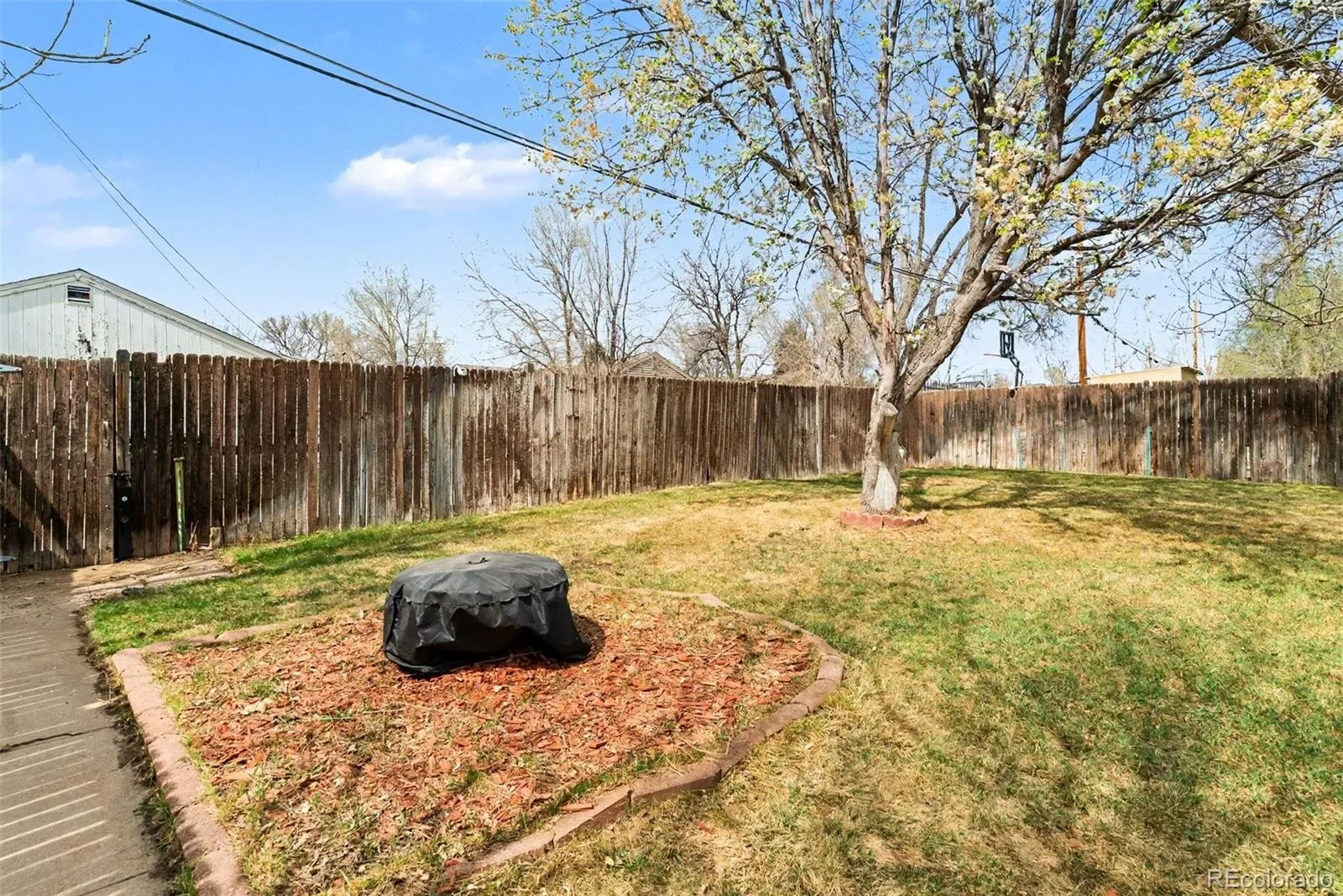 03252026191558 1600 20