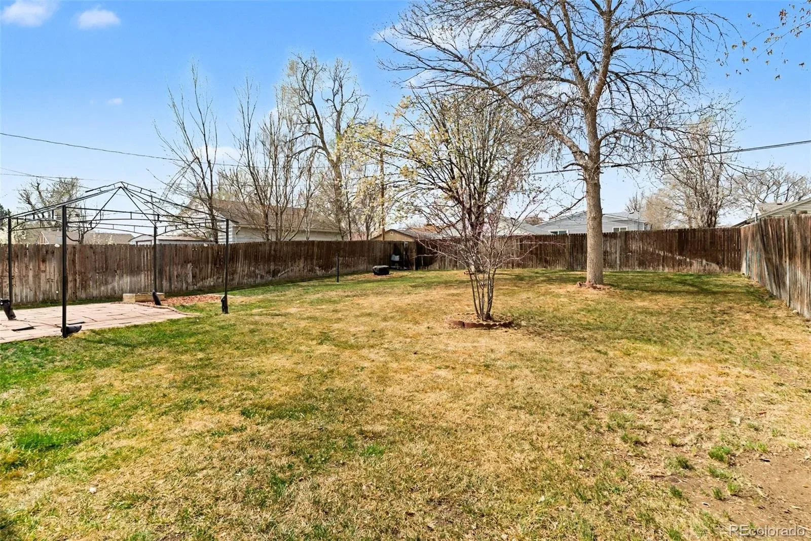 03252026191558 1600 21