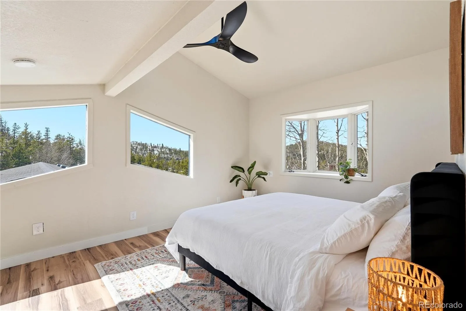 10477 Horizon View Drive Morrison CO 80465 | MLS #REC5976370 08202026180449 1600 26