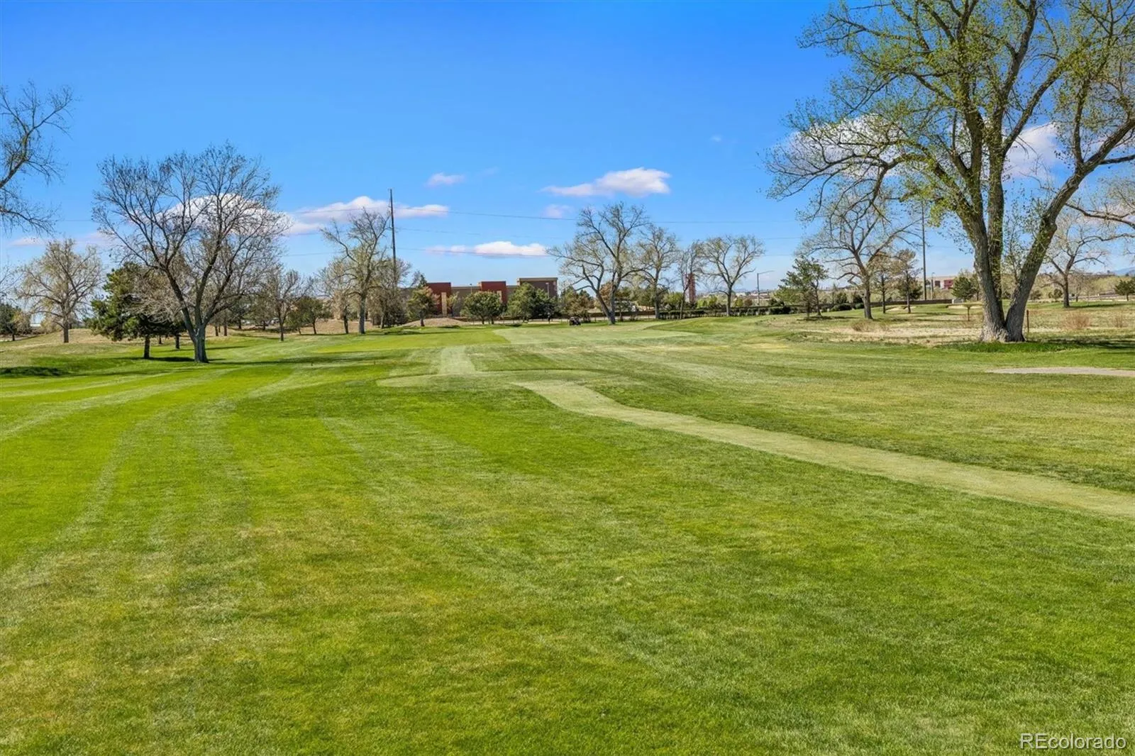 6587 S Helena Street Centennial CO 80016 MLS #REC5979962 05052026041411 1600 2