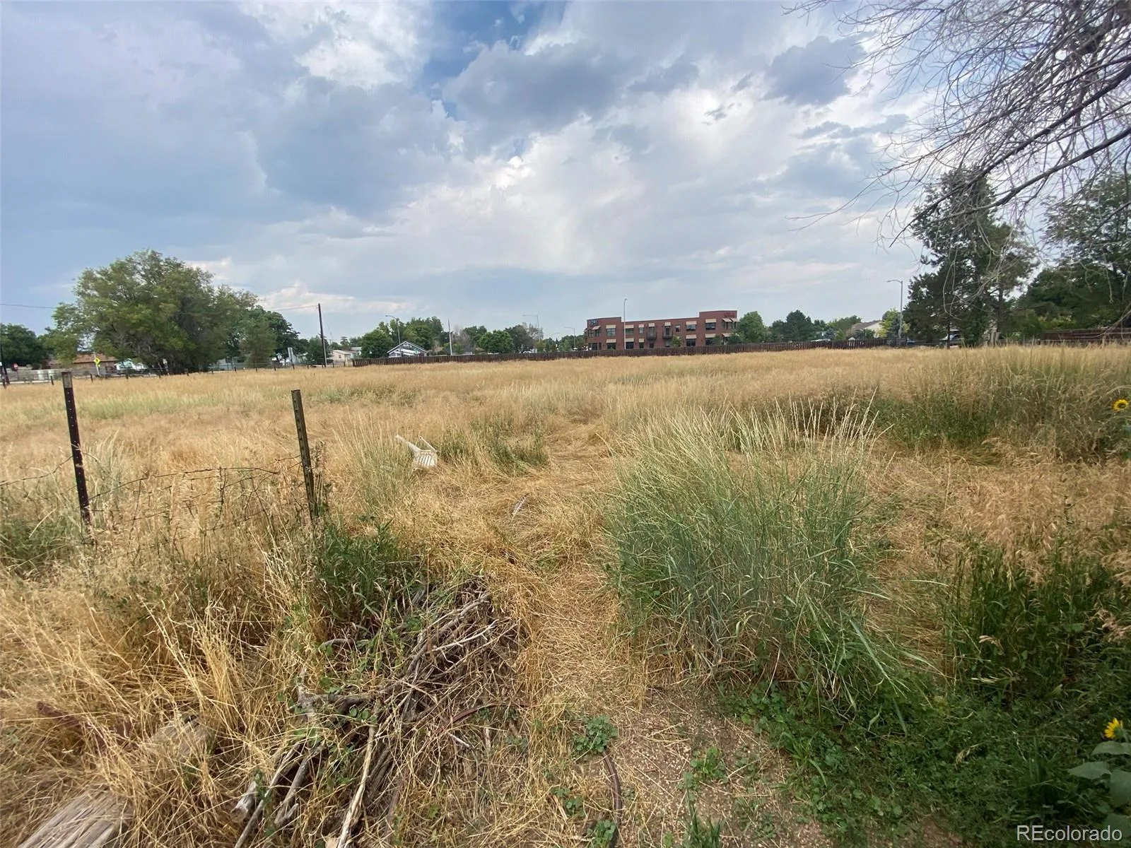12380 York Street Thornton CO 80241 | MLS #REC2559473 08062026225506 1600 12