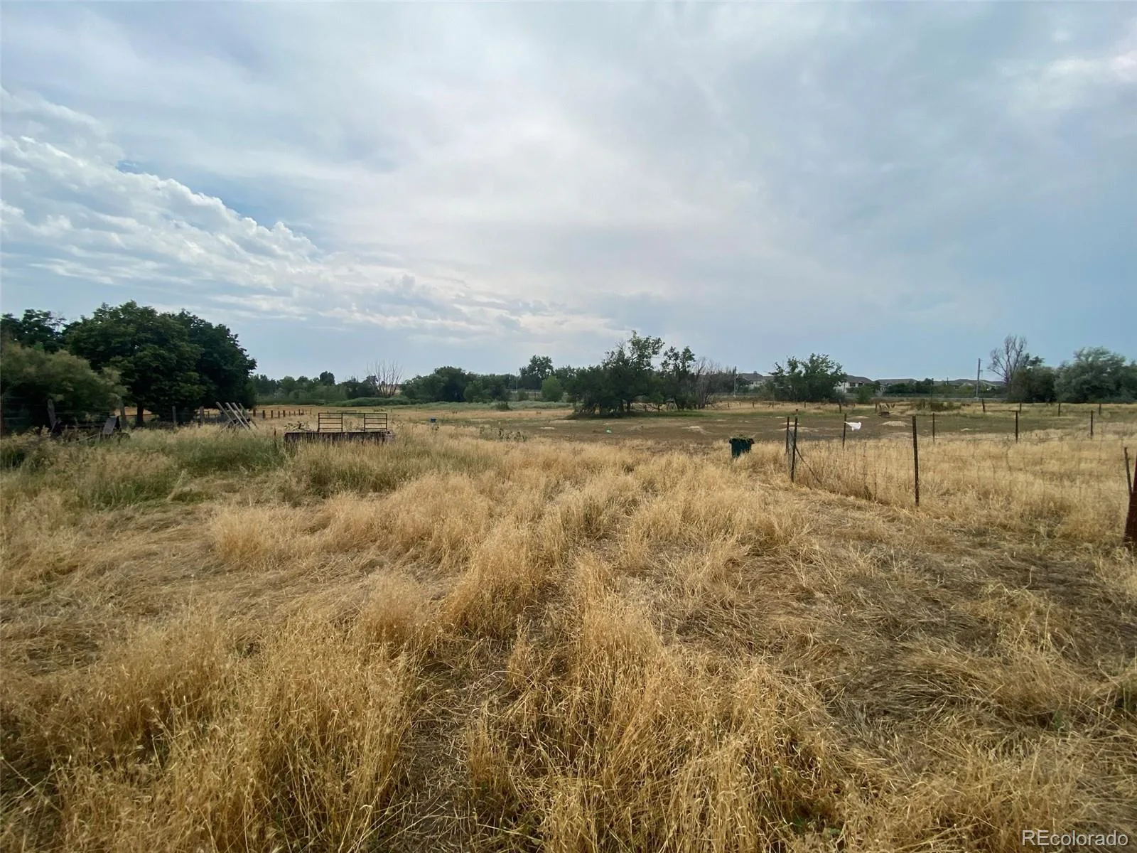 12380 York Street Thornton CO 80241 | MLS #REC2559473 08062026225506 1600 13