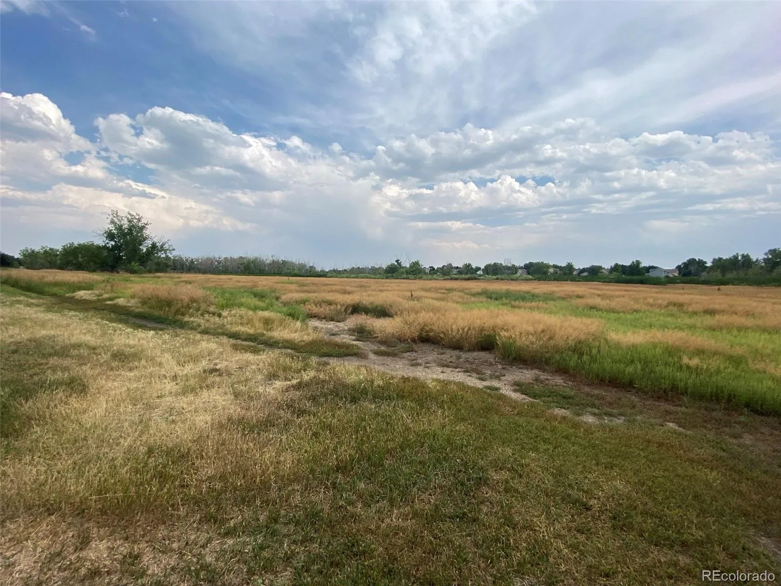12380 York Street Thornton CO 80241 | MLS #REC2559473 08062026225506 1600 14