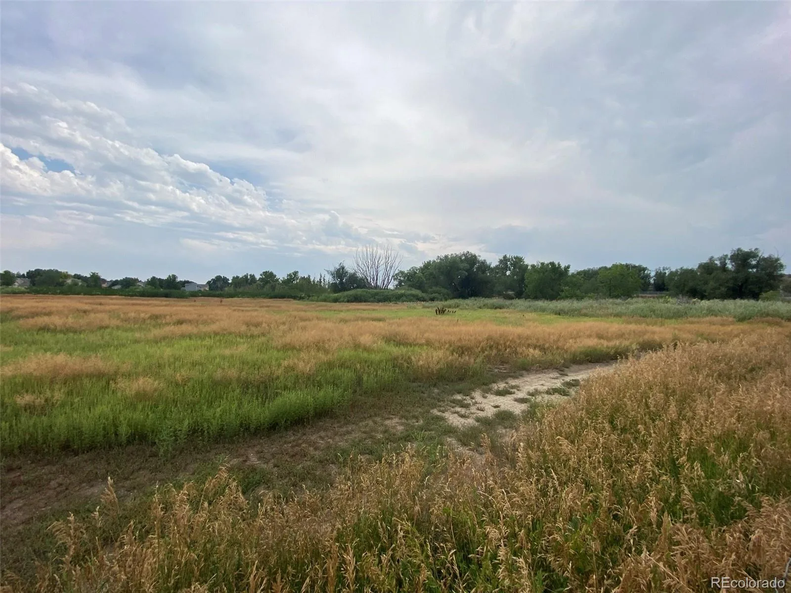 12380 York Street Thornton CO 80241 | MLS #REC2559473 08062026225506 1600 15