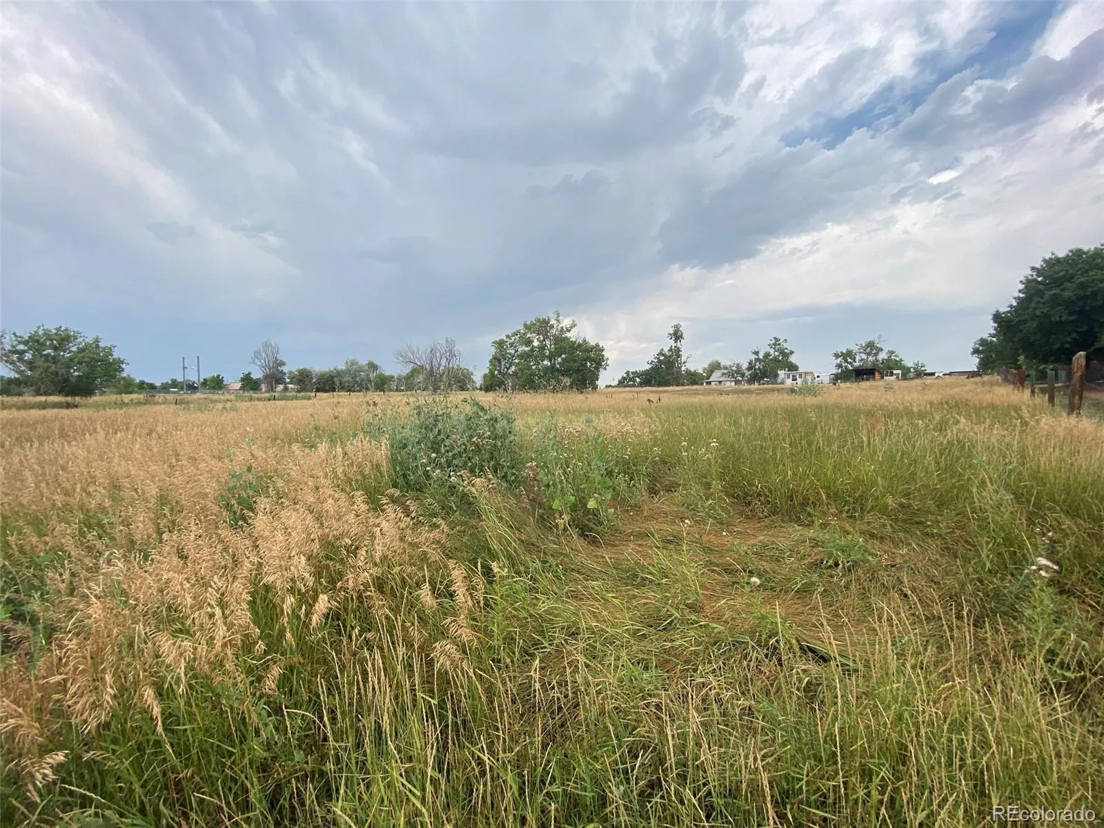 12380 York Street Thornton CO 80241 | MLS #REC2559473 08062026225506 1600 16