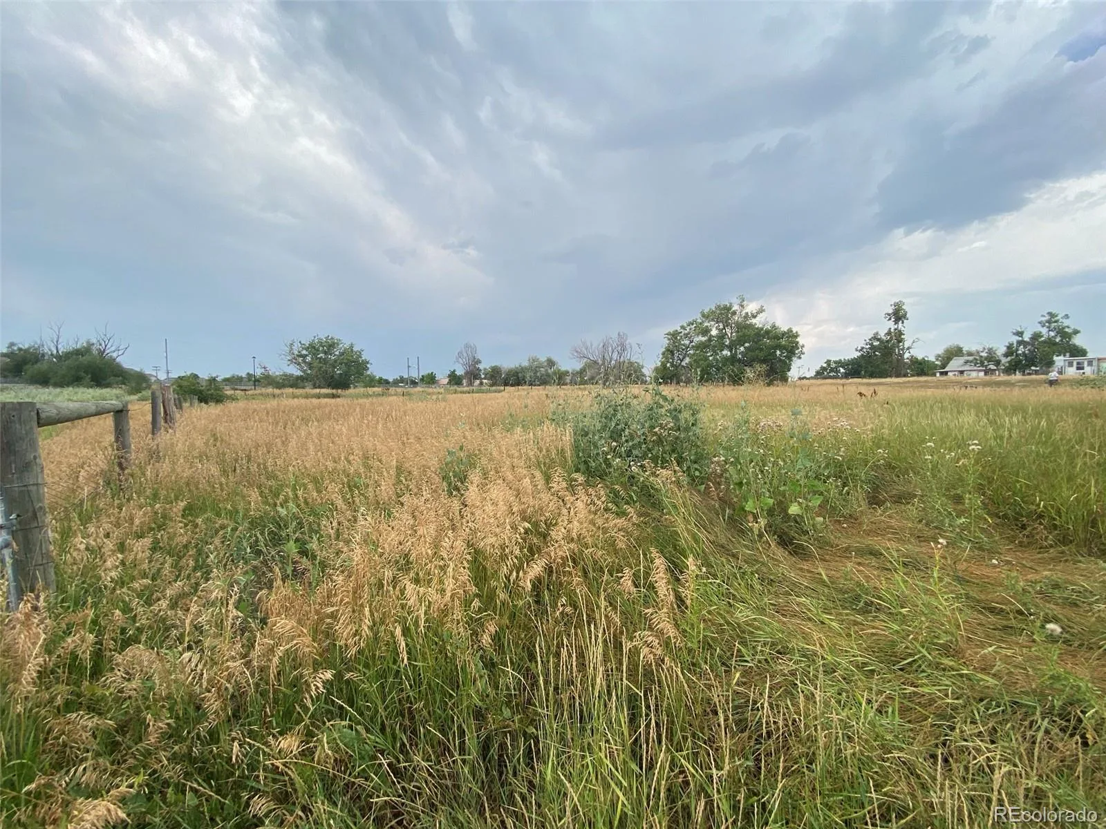 12380 York Street Thornton CO 80241 | MLS #REC2559473 08062026225506 1600 17
