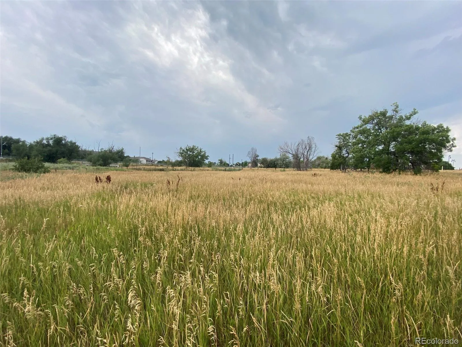 12380 York Street Thornton CO 80241 | MLS #REC2559473 08062026225506 1600 18