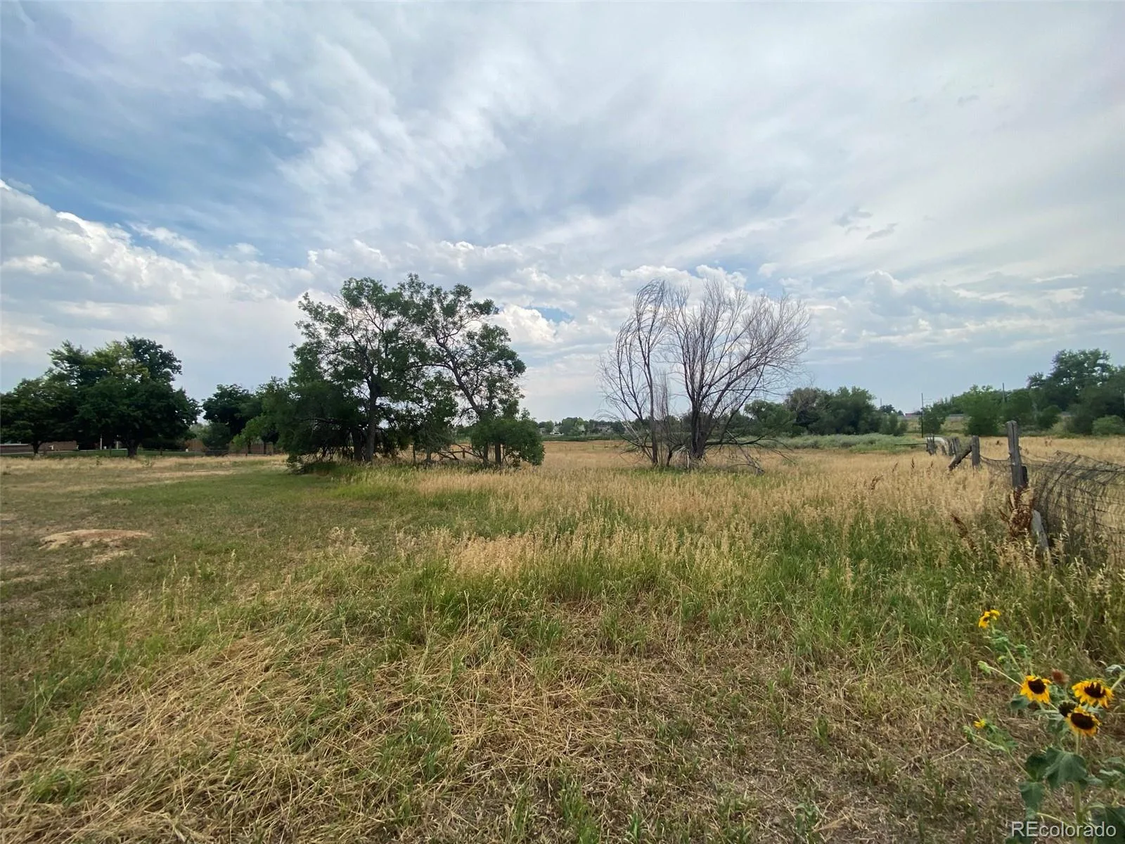 12380 York Street Thornton CO 80241 | MLS #REC2559473 08062026225506 1600 19